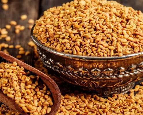 Fenugreek